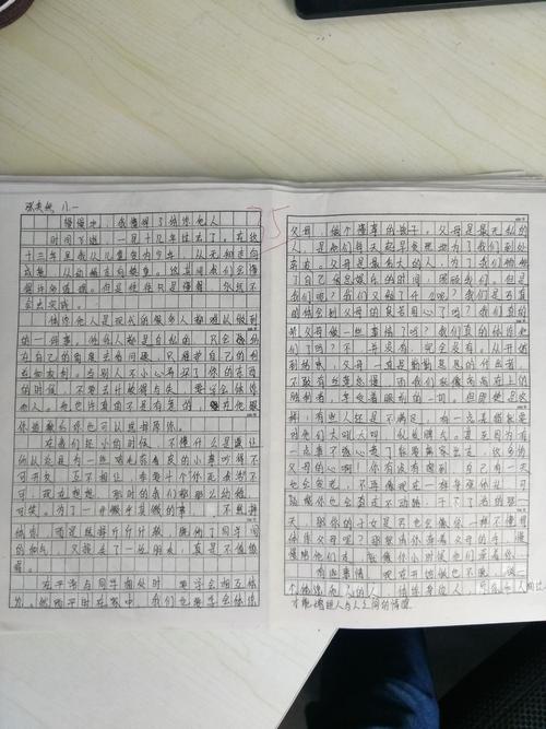 逐渐理解
