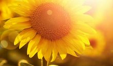 心灵美才是最重要的