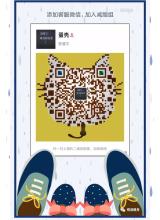 坚持不懈的测试