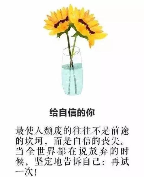 追求梦想的另一面