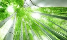 有一种幸福叫做成长