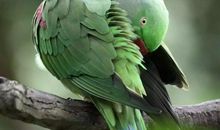 邀请挫折来做客