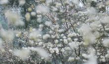 那夜风雨，我成长