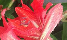 幸福是一种付出