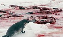 奔走在如歌的岁月中