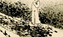 我爱江南的仲夏