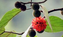 回家的感觉，真好！