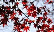 走过老屋的岁月