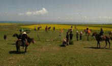 被生活消磨的青春