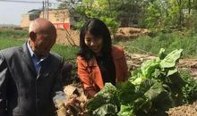 一点一滴看真情