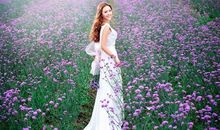 又到薰衣飘香时