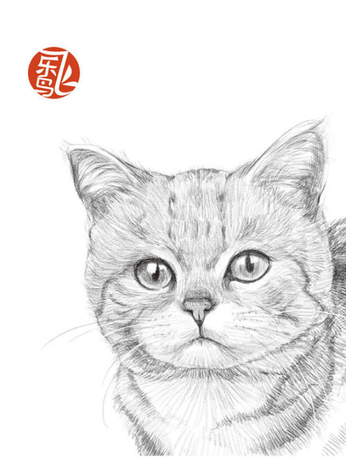 刷手