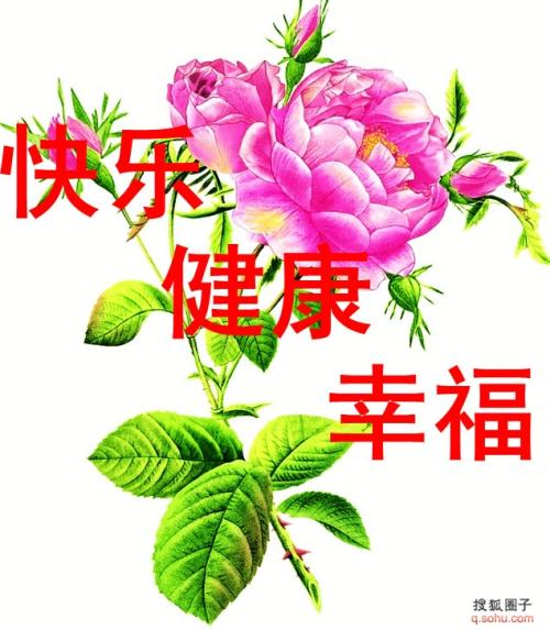 要开心