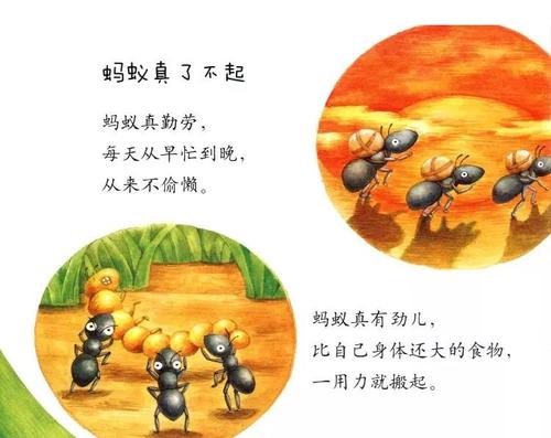 强 -  Ant.
