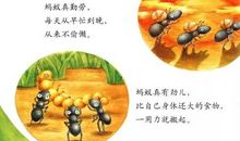 大力士——蚂蚁
