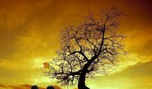 青春，永远没有尽头