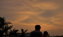 只要有阳光就不停地奔跑