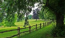 大自然我们的朋友