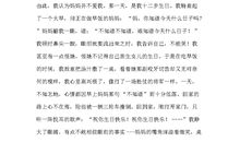 心中的阳光作文