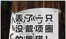 丢车给我的启示