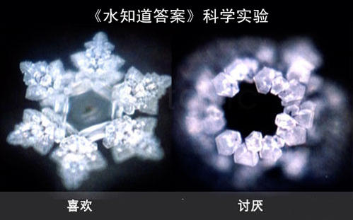 “水知道答案”