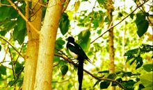 谱写生命的乐章