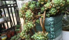 留点关爱给自己