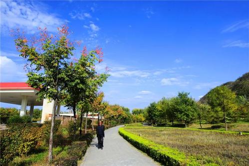 我的家乡 - 时代