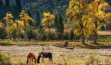 给生活涂上一抹色彩