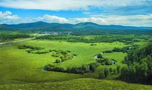 绿就生命的色彩