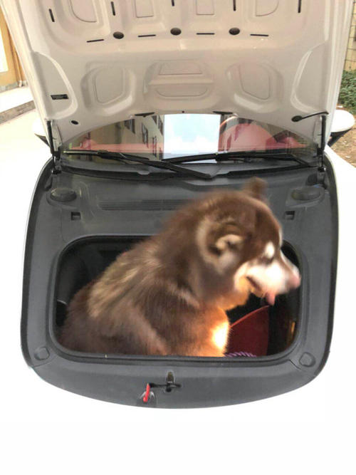 匆忙