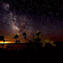 星空，让我烦恼