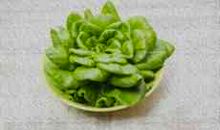 读《骆驼》有感