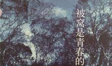 致我们终将失去的青春——读《被窝是青春的坟墓》有感