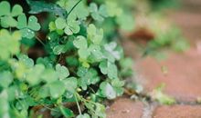 我的晴天雨天作文