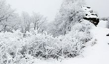 令我陶醉的雪景