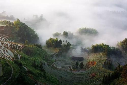 林海水押