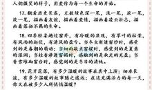 我心目中的课堂600字作文