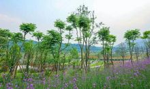 听音乐，悟别样人生