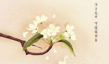 陌上花开缓缓归作文