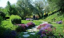 我心中的林海公园