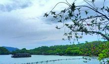 去杭州西湖踏春去