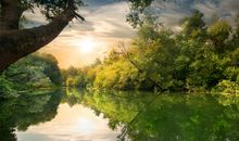 山林之景令我陶醉