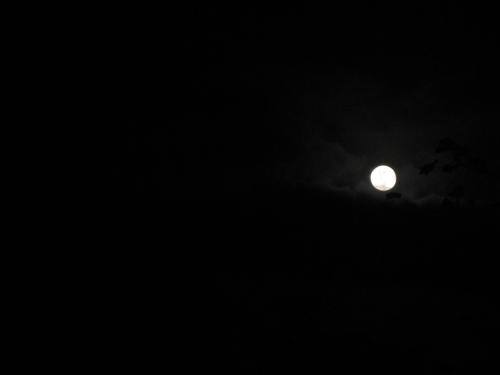 描述夜晚