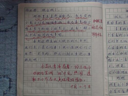 我心中最美丽的课堂作品