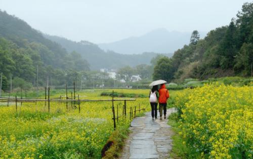 三月小雨