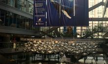 追寻曾经的芳草地