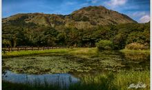 跌倒的地方也有风景