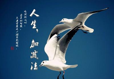 加入和减少生命