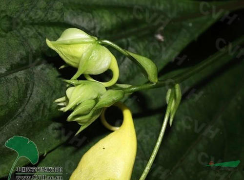 我怎么能花价值？